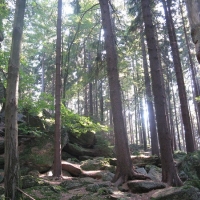 Zvětšit