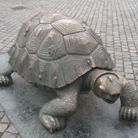 Zvětšit